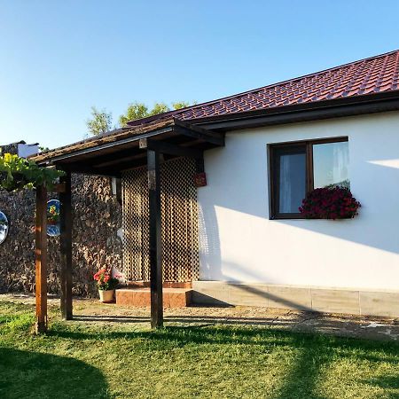 Villa Draganovi Kamen Bryag Exterior photo