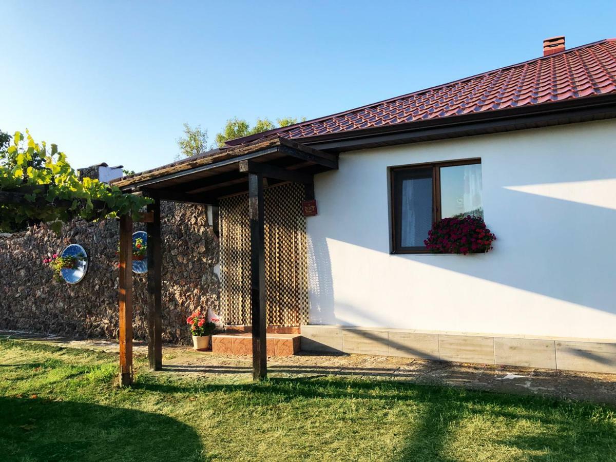 Villa Draganovi Kamen Bryag Exterior photo